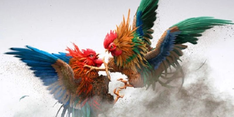 Đá gà 789win
